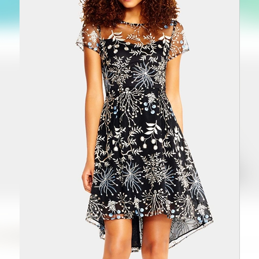 Women mesh embroidered dress,lined, size 4